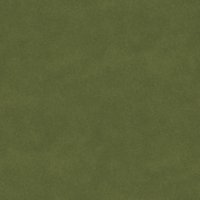 Asset preview